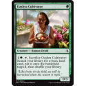 Oashra Cultivator