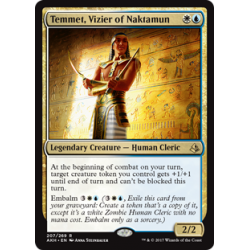 Temmet, Vizier of Naktamun