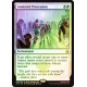 Anointed Procession - Foil