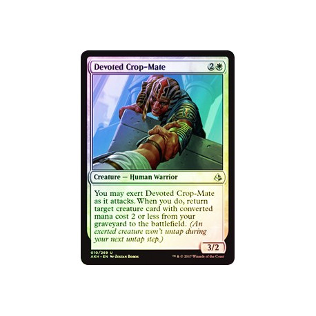 Devoted Crop-Mate - Foil