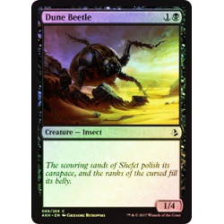 Coleottero delle Dune - Foil