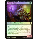 Vizir impitoyable - Foil