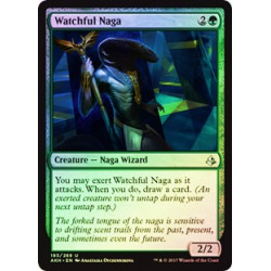 Naga Osservatore - Foil