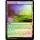 Evolving Wilds - Foil