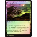 Grasping Dunes - Foil