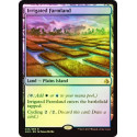 Irrigated Farmland - Foil