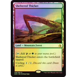 Sheltered Thicket - Foil