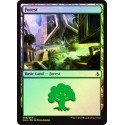 Forest (268) - Foil