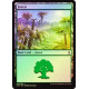 Forest (269) - Foil