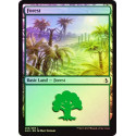 Forest (269) - Foil