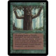 Ironroot Treefolk
