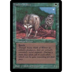 Timber Wolves