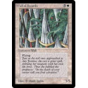 Wall of Swords