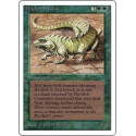 Thicket Basilisk