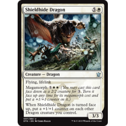 Shieldhide Dragon