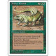 Thicket Basilisk