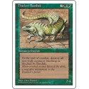 Thicket Basilisk