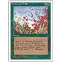 Untamed Wilds