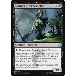 Marang River Skeleton