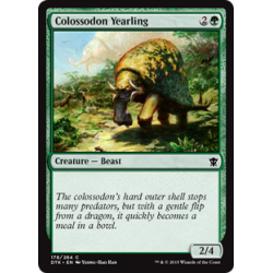 Kolossodon-Jährling