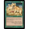 Gibbering Hyenas