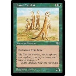 Karoo Meerkat