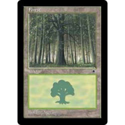 Forêt (Version 1)