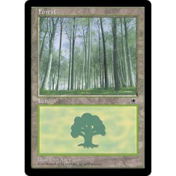 Forêt (Version 4)