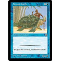 Horned Turtle