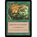 Jungle Lion