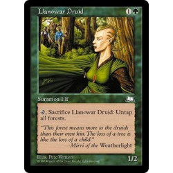 Llanowar Druid