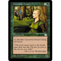 Druido di Llanowar