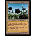 Lotus Vale