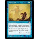 Teferi's Veil