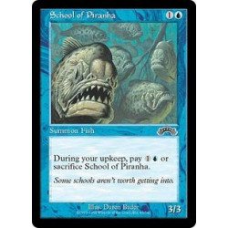 School of Piranha