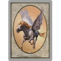 Pegasus token card