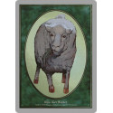 Sheep token card