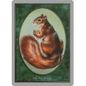 Squirrel token card
