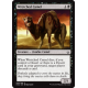 Wretched Camel