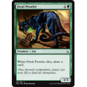 Predatore Feroce