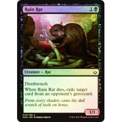 Rat des ruines - Foil