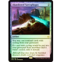 Abandoned Sarcophagus - Foil