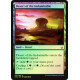 Desert of the Indomitable - Foil