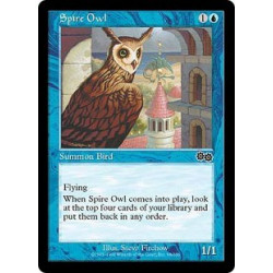 Spire Owl