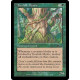 Treefolk Mystic