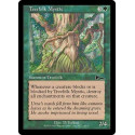 Treefolk Mystic