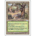 Havenwood Battleground