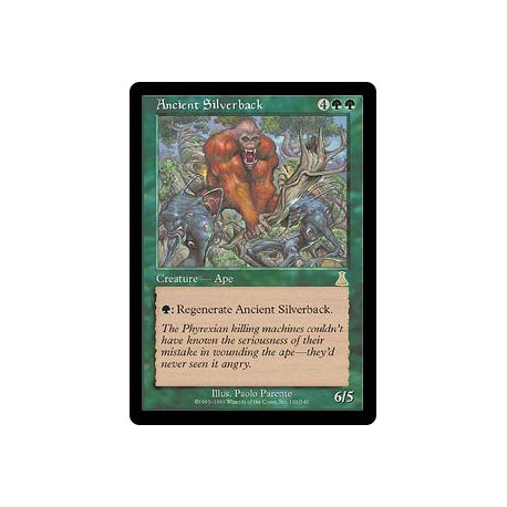 Ancient Silverback