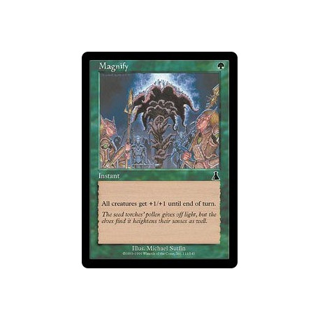 Magnify