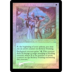 Archery Training - Foil